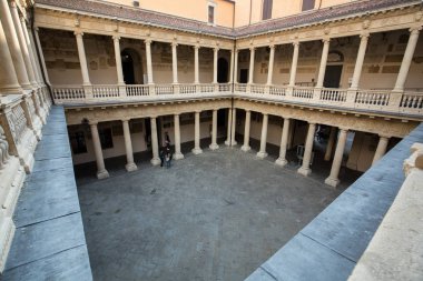 Palazzo Bo, tarihi bina ev 1539, Padova Üniversitesi Padua, İtalya