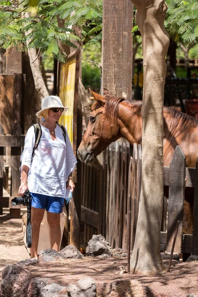 女性と農場で彼女の馬 — ストック写真