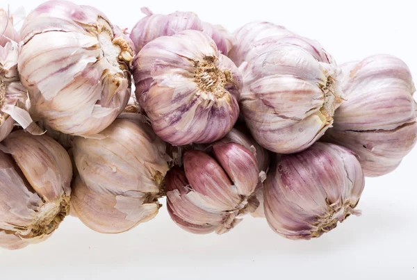 String of garlic isolated on white background — Stock Photo, Image