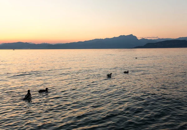 イタリアのガルダ湖の美しい夕日 — ストック写真