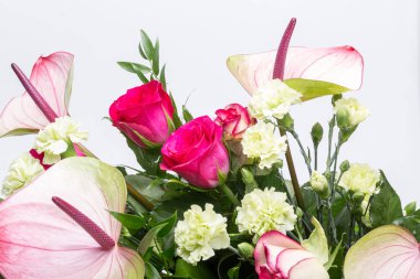 güzel buket taze kırmızı güller ve Antoryum