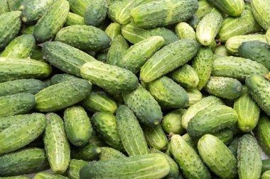 Arka planda bir sürü genç salatalık