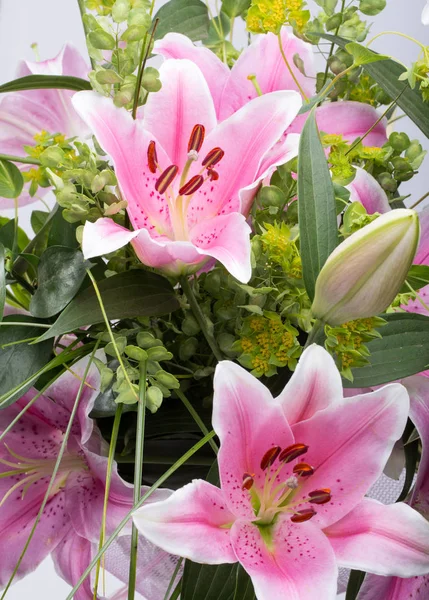 Pembe zambak çiçeğine yaklaş