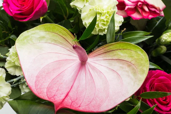 güzel buket taze kırmızı güller ve Antoryum