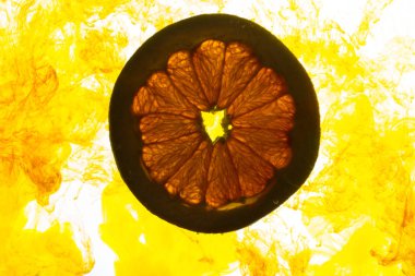 Bir greyfurt dilim su yakın çekim