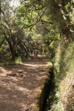 Turist levada kanal yürüyor. Madeira Adası, Portekiz