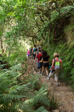 Turist levada kanal yürüyor. Madeira Adası, Portekiz