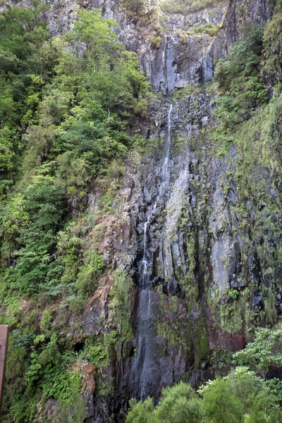 Risco Cascada de las Veinticinco Fuentes Levada sendero de senderismo, Madeira Portugal — Foto de Stock