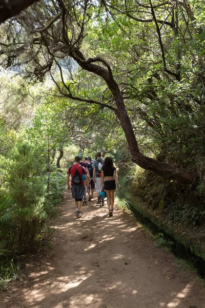 Turist levada kanal yürüyor. Madeira Adası, Portekiz