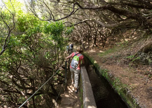 El turista está caminando a lo largo del canal Levada. Isla de Madeira, Portugal — Foto de Stock