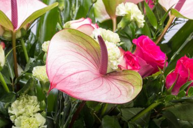 güzel buket taze kırmızı güller ve Antoryum