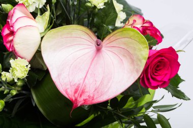 güzel buket taze kırmızı güller ve Antoryum