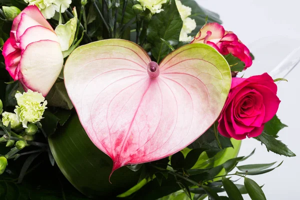 güzel buket taze kırmızı güller ve Antoryum