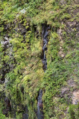 Yirmi - beş çeşmeler Levada hiking Trail, Madeira Portekiz Risco şelale