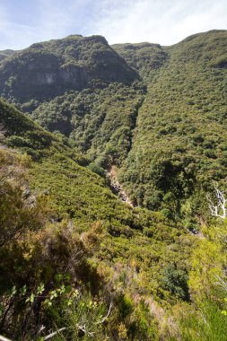 Dağlar ve yağmur ormanları tepeler Madeira Adası, Portekiz Hava pitoresk Panoraması.