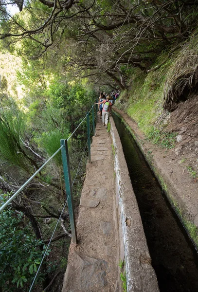 旅游沿着灌溉渠道。历史的供水系统，称为 Levada 在热带森林中，葡萄牙马德拉岛 — 图库照片