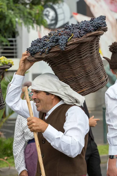 Фестиваль вина Мадейры — стоковое фото