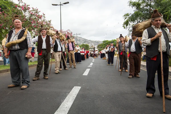 Madeira Wine Festival — Stockfoto