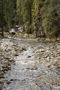 Chocholwska Vadisi dağ dere. Tatra, Polonya