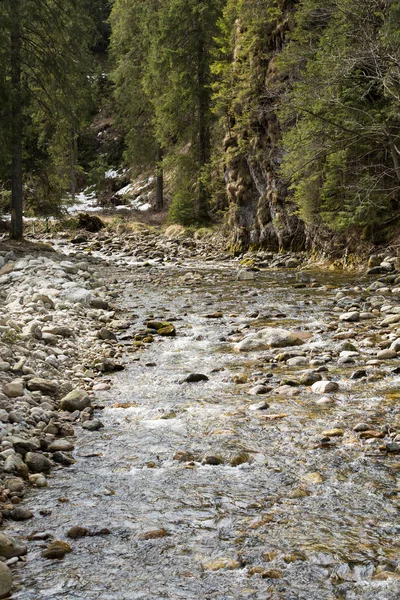 Chocholwska Vadisi dağ dere. Tatra, Polonya