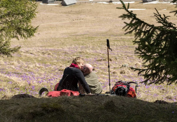 Mutlu çift Chocholowska Vadisi, Tatra, Polonya dağ izinde bir mola hiking