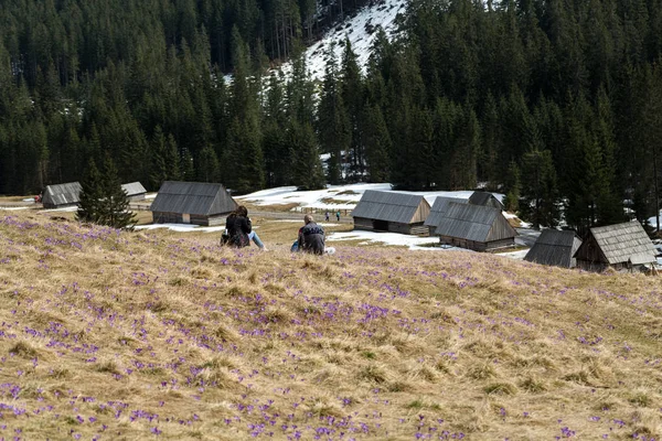 登山道に休憩を取って幸せなハイキングのカップル — ストック写真