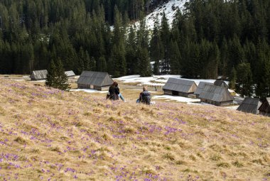 mutlu hiking çift dağ yolda bir mola 