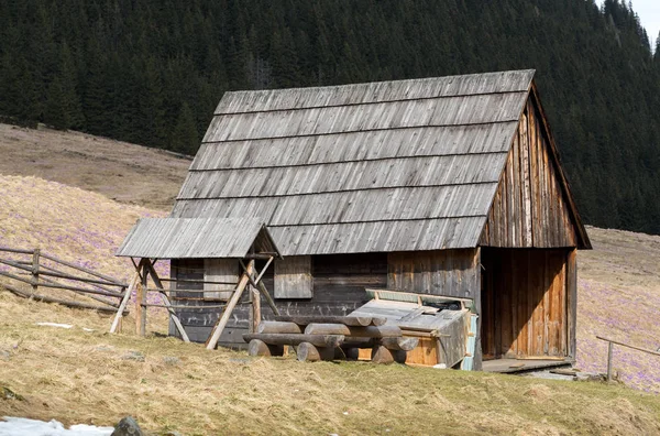 Drewniane chaty w dolinie Chochołowskiej w wiosnę, Tatry, Polska — Zdjęcie stockowe