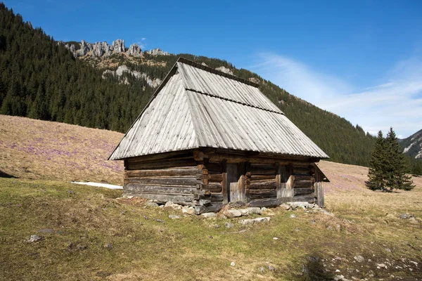 Houten hutten in de vallei van de Chocholowska in de lente, Tatra bergen, Polen — Stockfoto