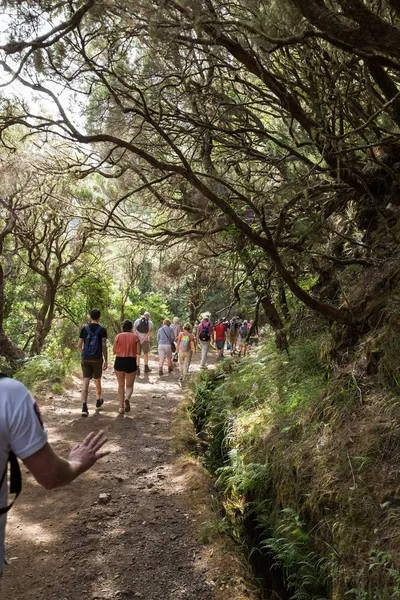 El turista camina por los canales de riego. Sistema histórico de abastecimiento de agua, conocido como Levada en el bosque tropical, Isla de Madeira, Portugal — Foto de Stock