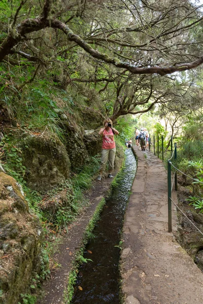 Туристичні прогулянки вздовж зрошувальних каналів. Історичний мереж водопостачання, відомий як Левада в тропічний ліс, острів Мадейра, Португалія — стокове фото