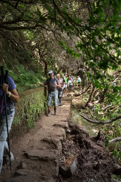 El turista camina por los canales de riego. Sistema histórico de abastecimiento de agua, conocido como Levada en el bosque tropical, Isla de Madeira, Portugal — Foto de Stock