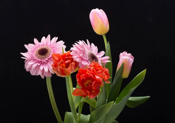 Strauß frischer Frühlingstulpen und Gerbera-Blumen — Stockfoto