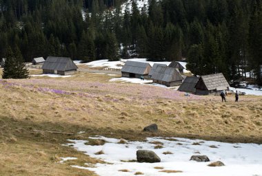 Bahar, Tatra Dağları, Polonya Chocholowska Vadisi'nde ahşap kulübeler
