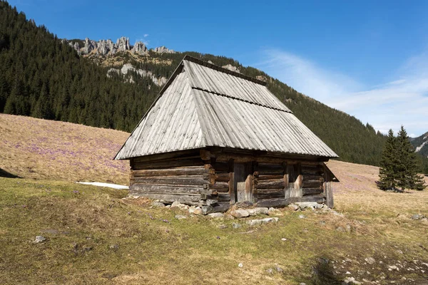 Drewniane chaty w dolinie Chochołowskiej w wiosnę, Tatry, Polska — Zdjęcie stockowe