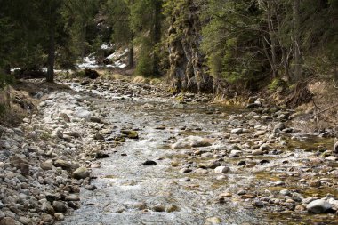 Chocholwska Vadisi dağ dere. Tatra, Polonya