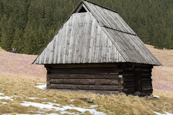 Drewniane chaty w dolinie Chochołowskiej w wiosnę, Tatry, Polska — Zdjęcie stockowe