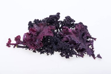 Beyaz arka plan üzerinde izole taze mor kıvırcık lahana lahana