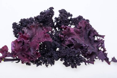 Beyaz arka plan üzerinde izole taze mor kıvırcık lahana lahana