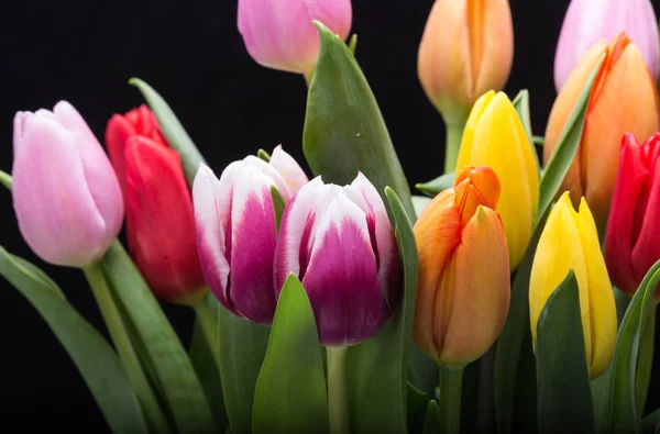 Bunter Strauß frischer Frühlingsblumen — Stockfoto