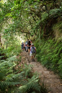 Turist sulama kanalları yürüyor. Levada tropikal ormanda, Madeira Adası olarak bilinen tarihi su besleme sistemi