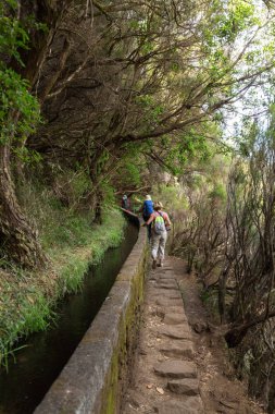 Turist levada kanal yürüyor. Madeira Adası, Portekiz