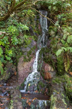 Yirmi - beş çeşmeler Levada hiking Trail, Madeira Portekiz son şelale