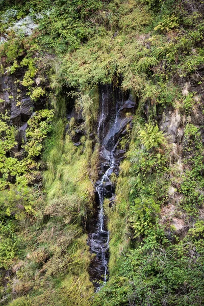 Risco Cascada de las Veinticinco Fuentes Levada sendero de senderismo, Madeira Portugal — Foto de Stock