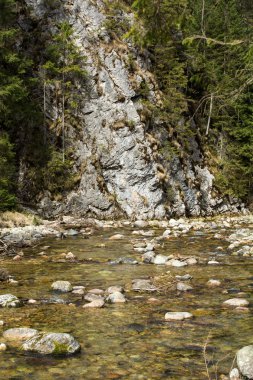 Chocholwska Vadisi dağ dere. Tatra, Polonya