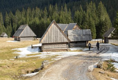 Bahar, Tatra Dağları, Polonya Chocholowska Vadisi'nde ahşap kulübeler