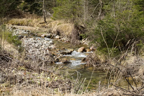 Mountain stream in Chocholwska Valley. Tatra, Poland — Stock Photo, Image