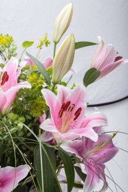 Pembe zambak çiçeğine yaklaş