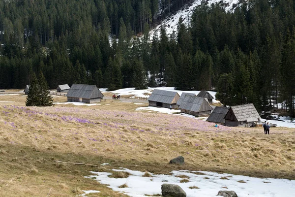 Dřevěné chaty v Chocholowska údolí na jaře, Tatra Mountain — Stock fotografie