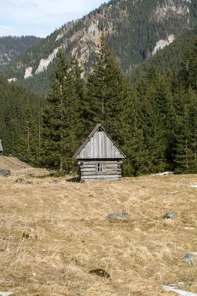 Drewniane chaty w dolinie Chochołowskiej na wiosnę, Tatry — Zdjęcie stockowe